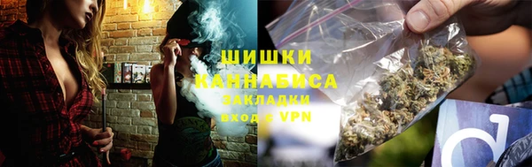 трава Арсеньев