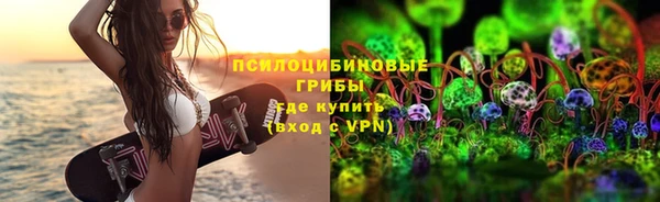 твердый Аркадак