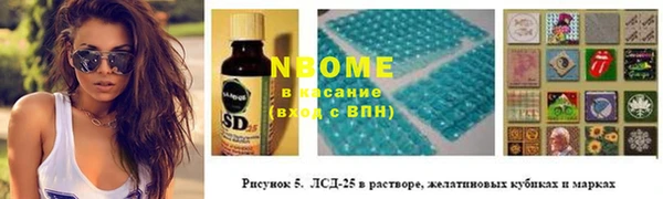 твердый Аркадак