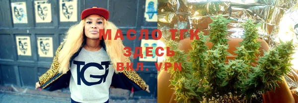твердый Аркадак