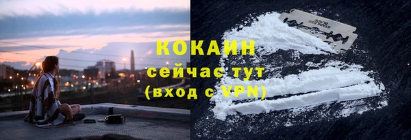 трава Арсеньев