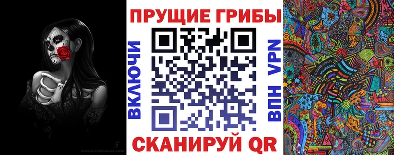 как найти   Бежецк  KRAKEN ТОР  Псилоцибиновые грибы прущие грибы 